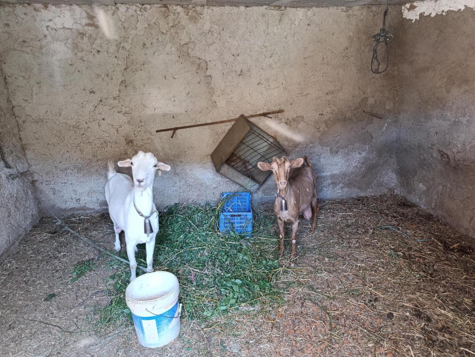 5 makuuhuone Maalaistalo myytävänä paikassa Torvizcon mukana 
autotalli - 199 000 € (Ref: 9243230)