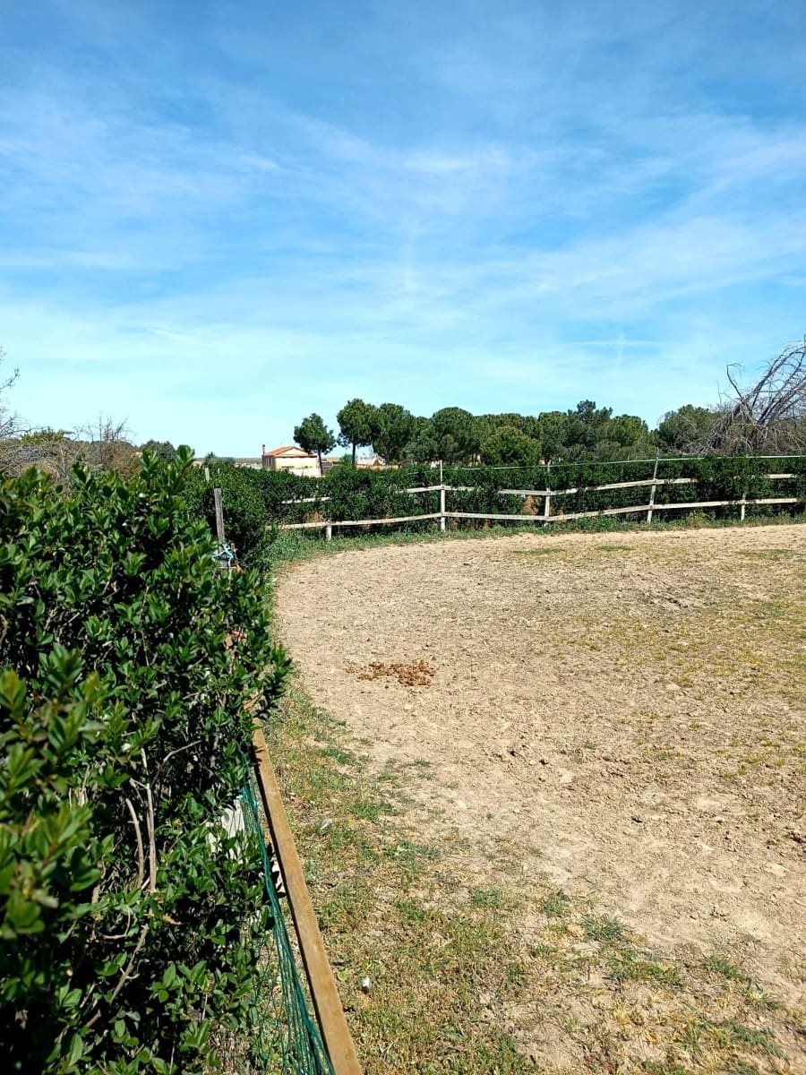 Finca/Casa Rural de 1 habitación en Aldeaseca de Armuña en venta - 260.000 € (Ref: 9338470)