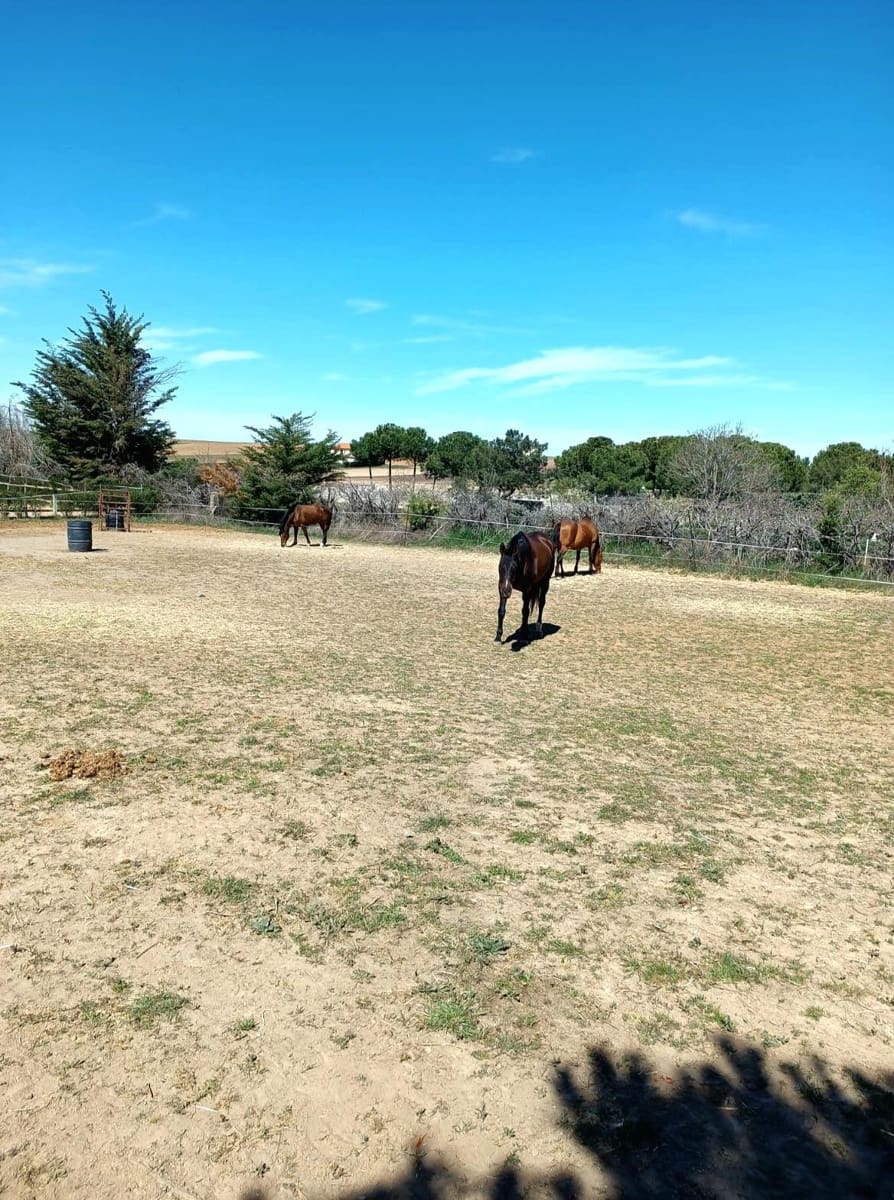 Finca/Casa Rural de 1 habitación en Aldeaseca de Armuña en venta - 260.000 € (Ref: 9338470)