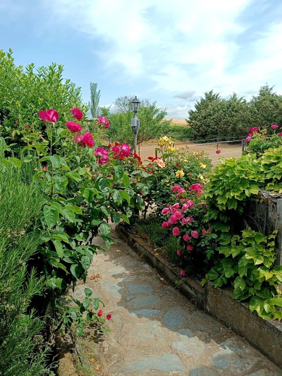 Finca/Casa Rural de 1 habitación en Aldeaseca de Armuña en venta - 260.000 € (Ref: 9338470)