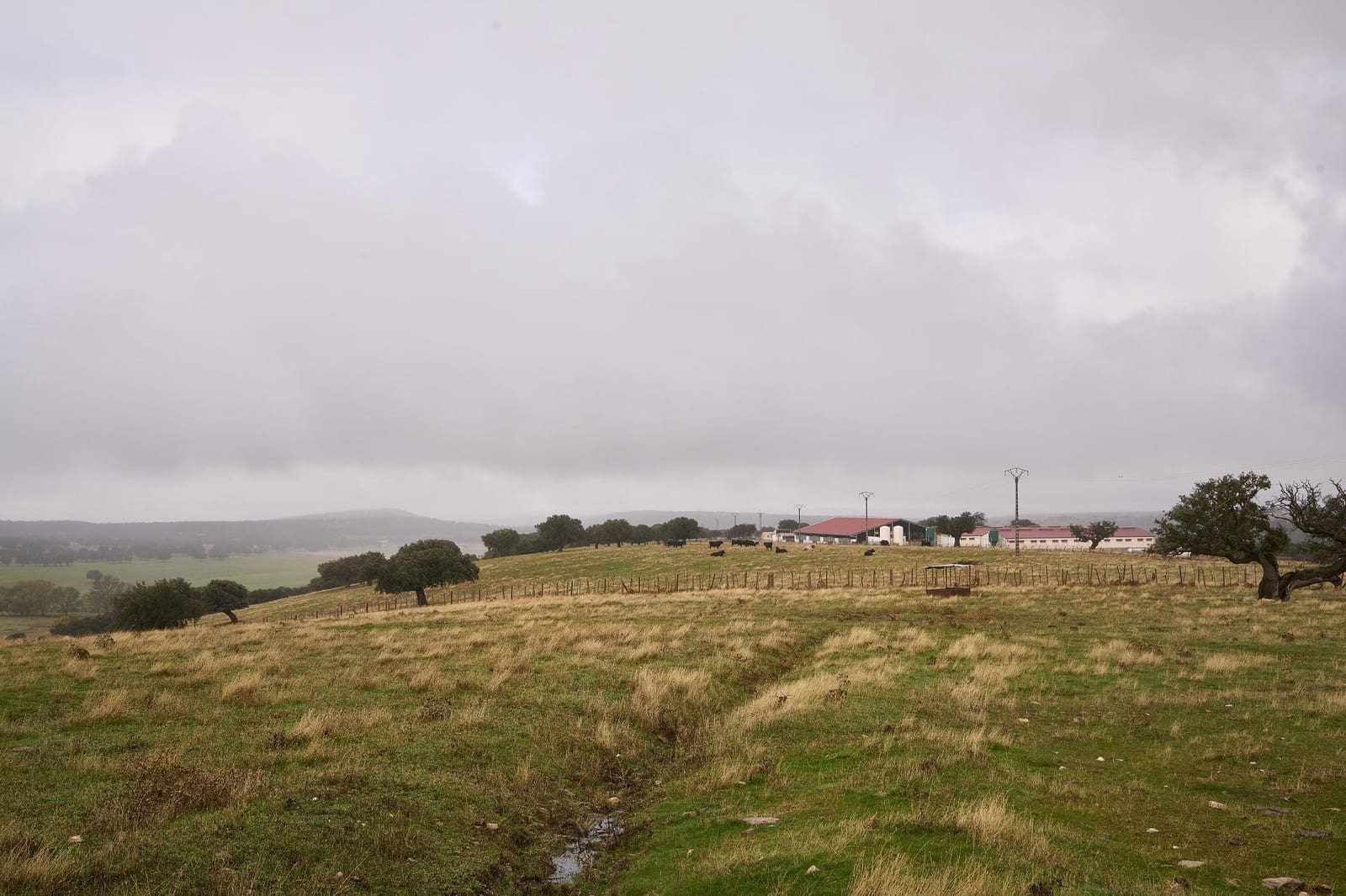 5 sypialnia Finka/Dom wiejski na sprzedaż w Horcajo Medianero - 457 000 € (Ref: 9401825)