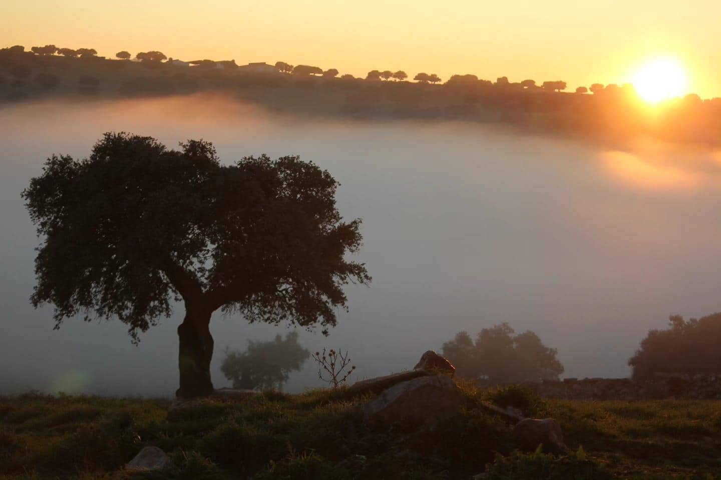 5 sypialnia Finka/Dom wiejski na sprzedaż w Horcajo Medianero - 390 000 € (Ref: 9401825)