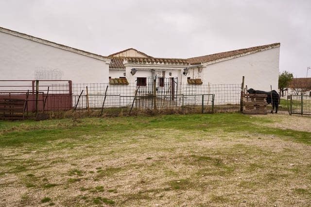 5 bedroom Finca/Country House for sale in Horcajo Medianero - € 390,000 (Ref: 9401825)