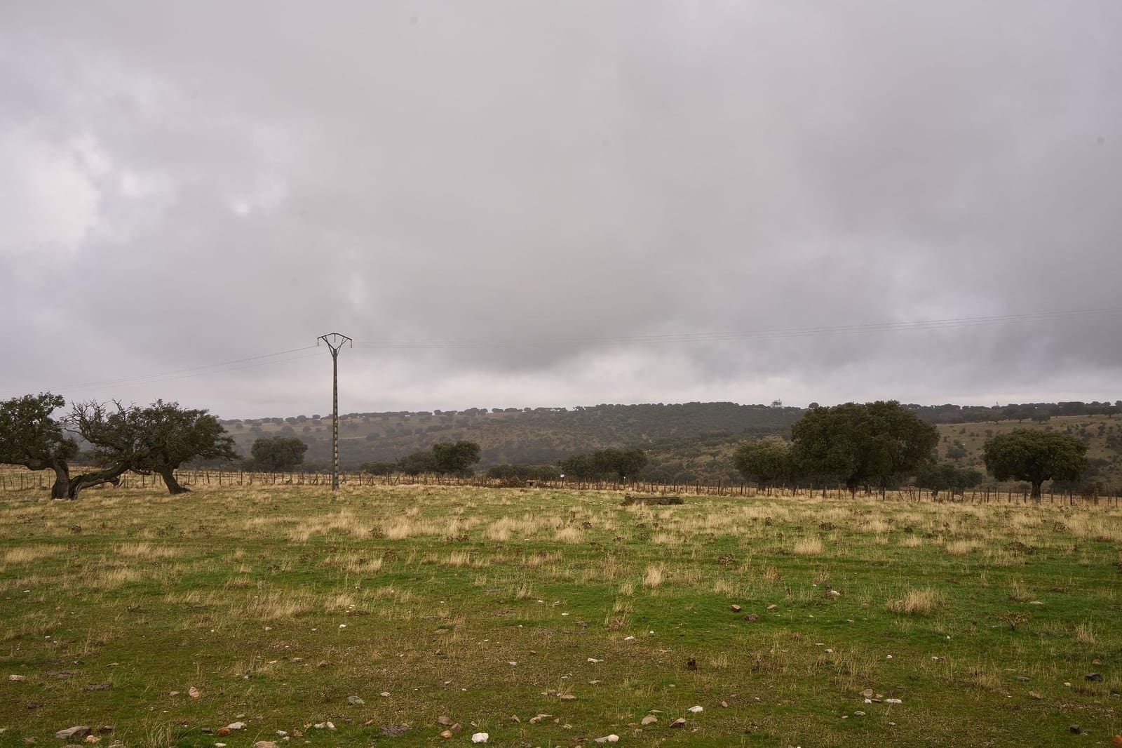 5 sypialnia Finka/Dom wiejski na sprzedaż w Horcajo Medianero - 390 000 € (Ref: 9401825)