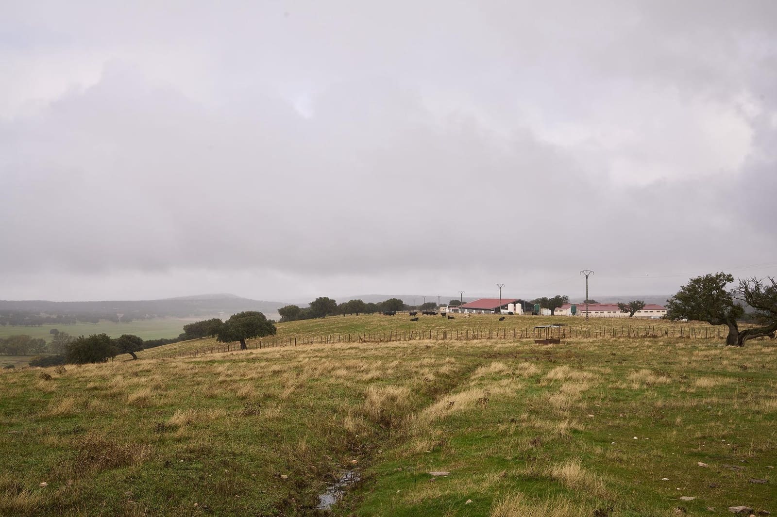 5 sypialnia Finka/Dom wiejski na sprzedaż w Horcajo Medianero - 390 000 € (Ref: 9401825)