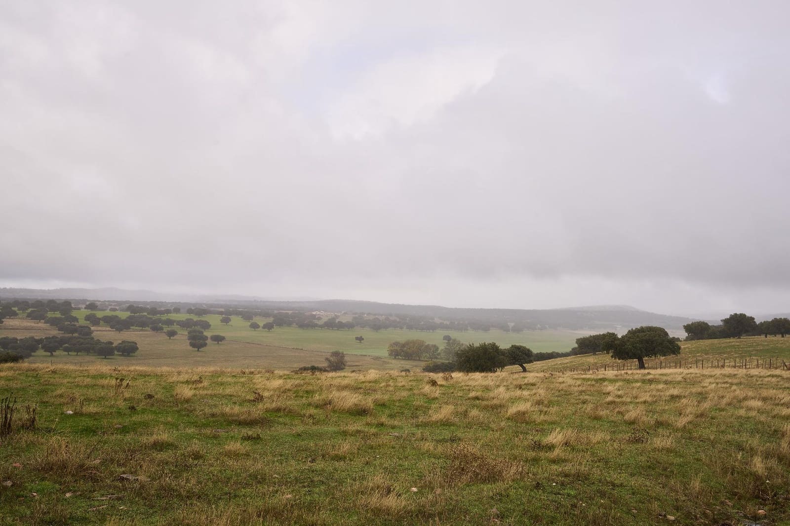 5 sypialnia Finka/Dom wiejski na sprzedaż w Horcajo Medianero - 390 000 € (Ref: 9401825)