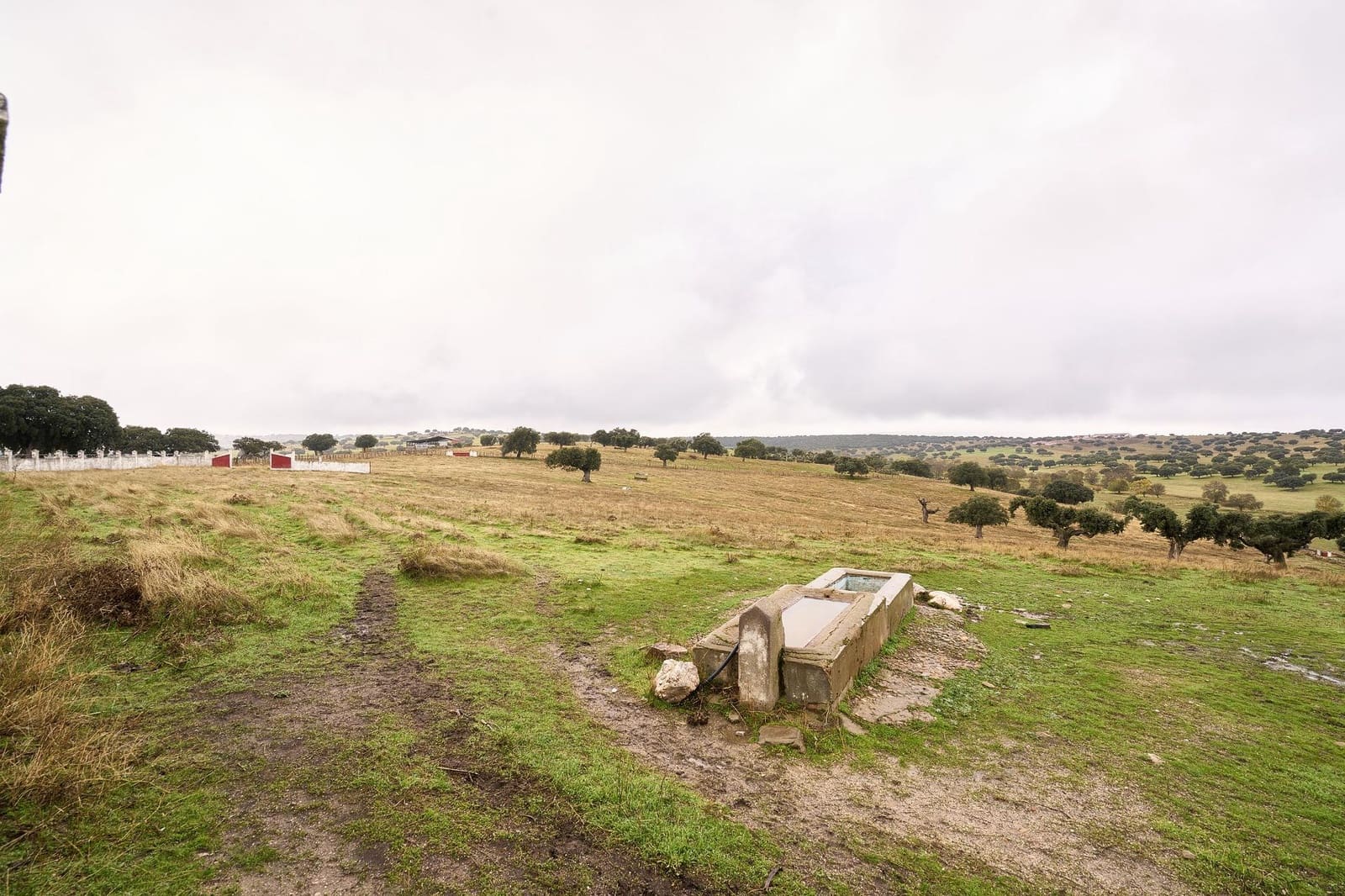 5 sypialnia Finka/Dom wiejski na sprzedaż w Horcajo Medianero - 390 000 € (Ref: 9401825)