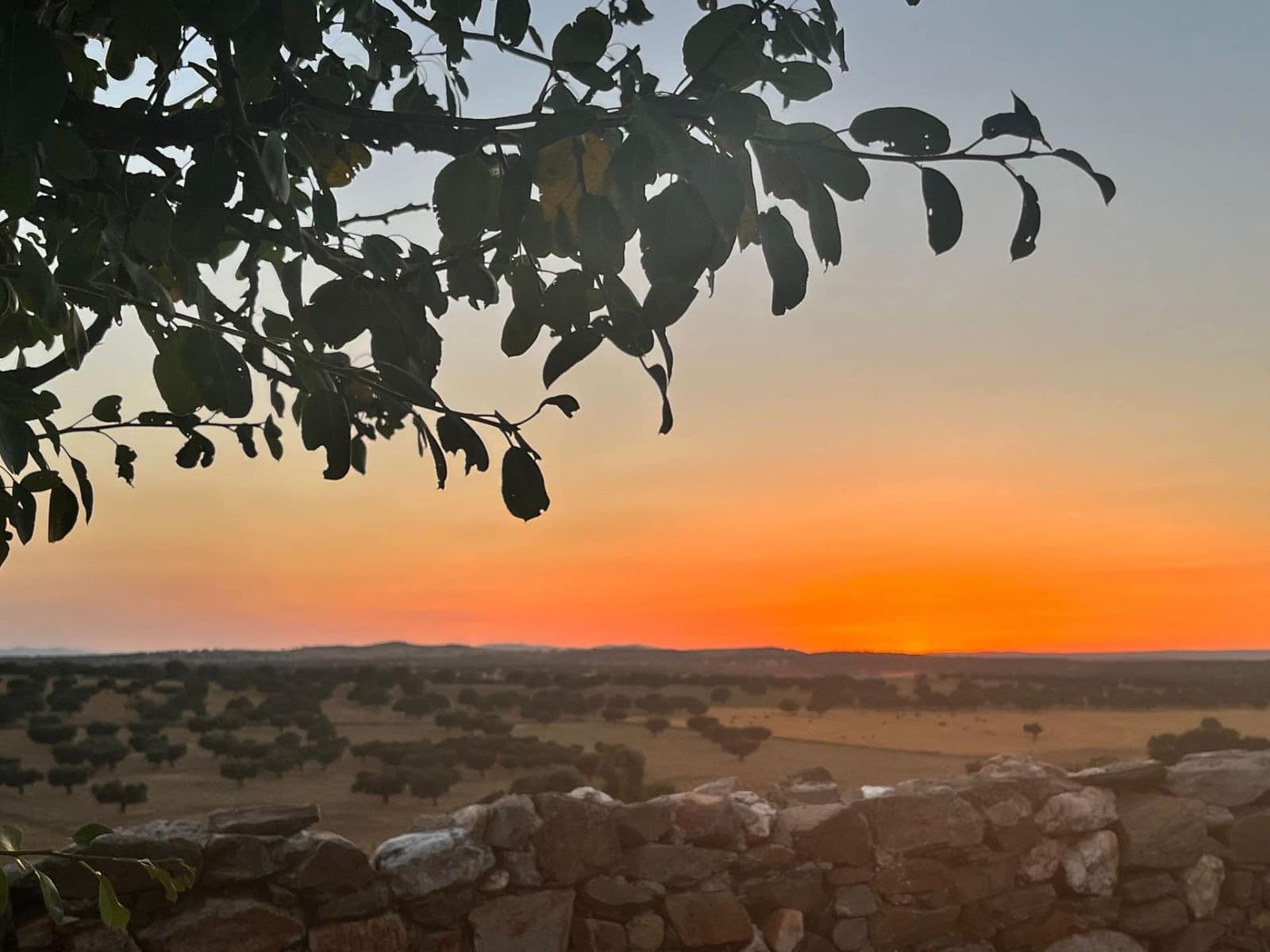 5 sypialnia Finka/Dom wiejski na sprzedaż w Horcajo Medianero - 390 000 € (Ref: 9401825)