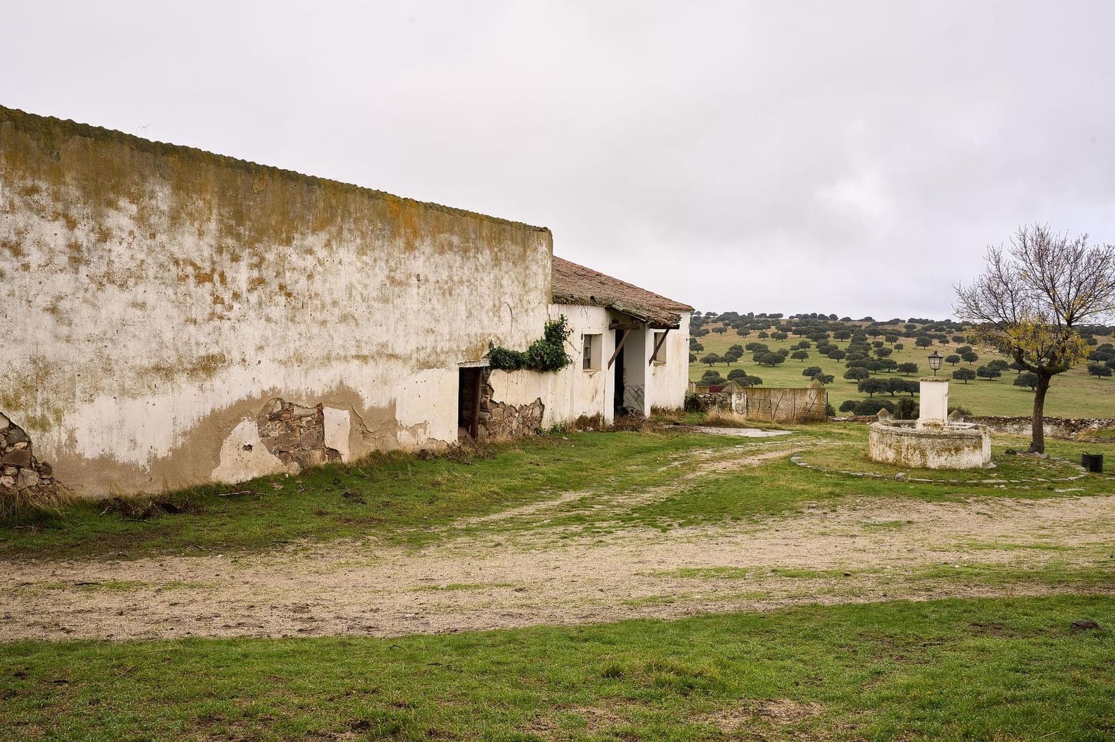 5 sypialnia Finka/Dom wiejski na sprzedaż w Horcajo Medianero - 390 000 € (Ref: 9401825)