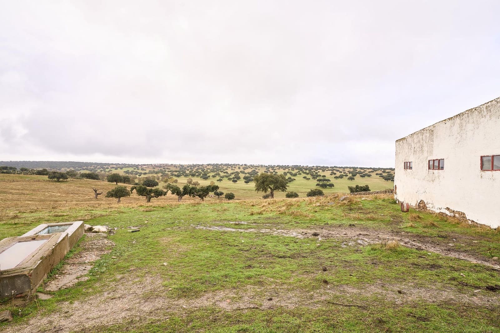 5 sypialnia Finka/Dom wiejski na sprzedaż w Horcajo Medianero - 390 000 € (Ref: 9401825)