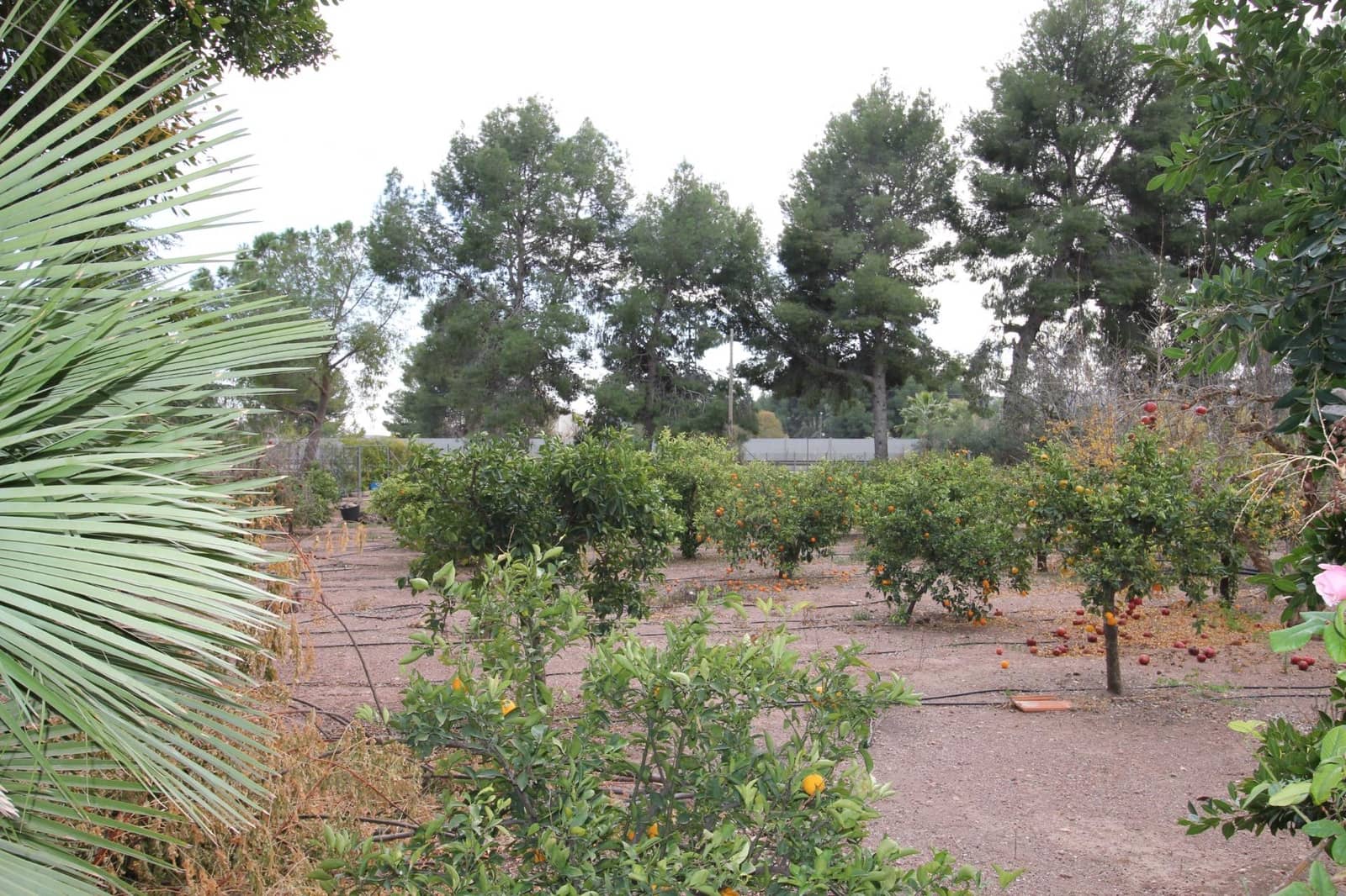 4 soverom Villa til salgs i Totana med svømmebasseng garasje - € 399 000 (Ref: 9450446)