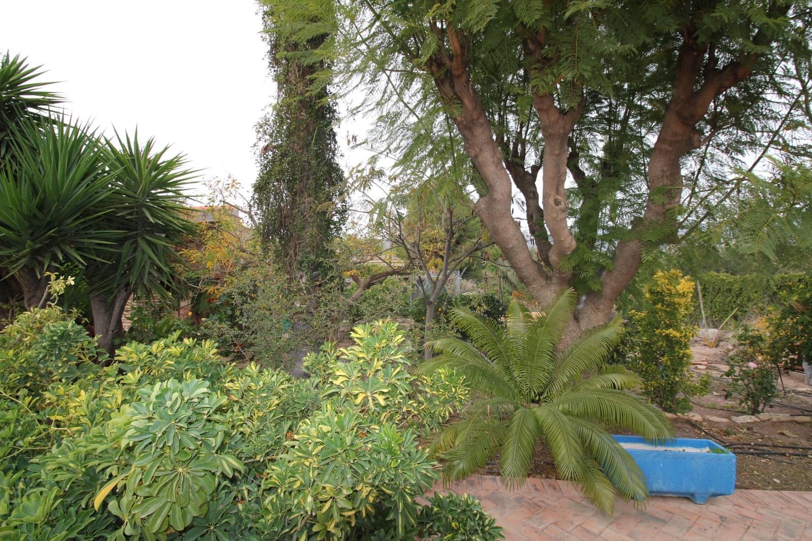 4 soverom Villa til salgs i Totana med svømmebasseng garasje - € 399 000 (Ref: 9450446)