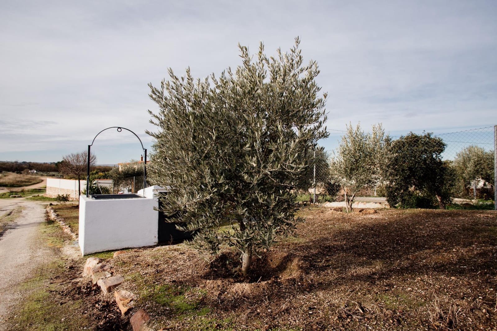 4 soverom Finca/Herregård til salgs i Don Benito med garasje - € 100 000 (Ref: 9524499)