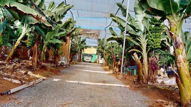 Ubebygd land til salgs i Gáldar - € 1 750 000 (Ref: 9551893)