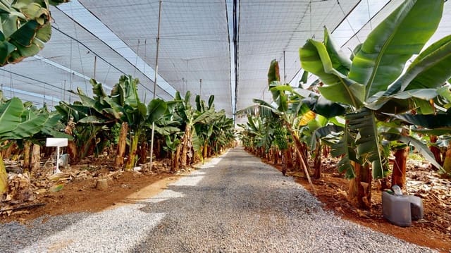 5 camera da letto Finca/Casa di Campagna in vendita in Gáldar con garage - 1.750.000 € (Rif: 9551896)