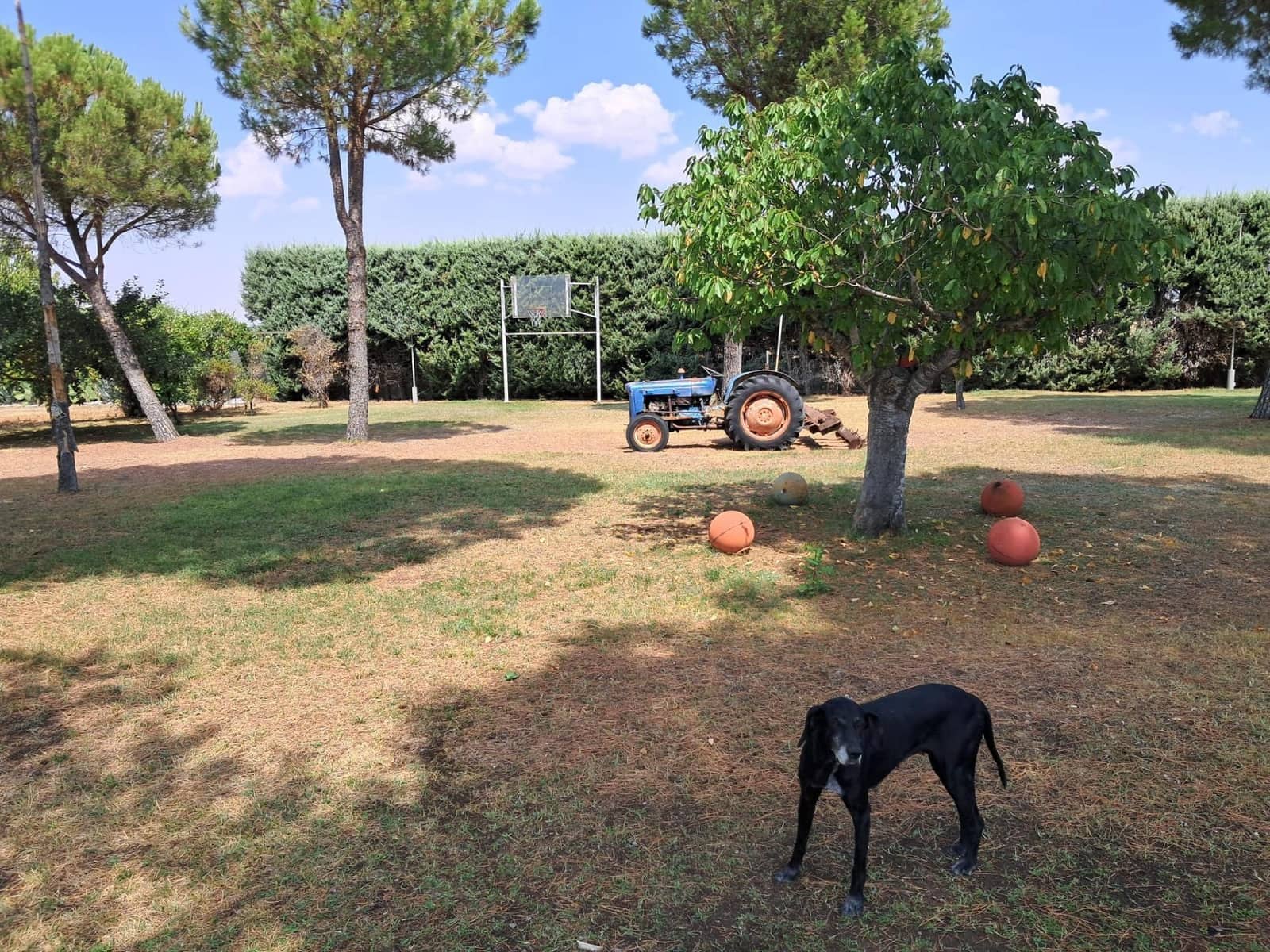 Piso de 5 habitaciones en Salamanca ciudad en venta con piscina garaje - 250.000 € (Ref: 9616051)