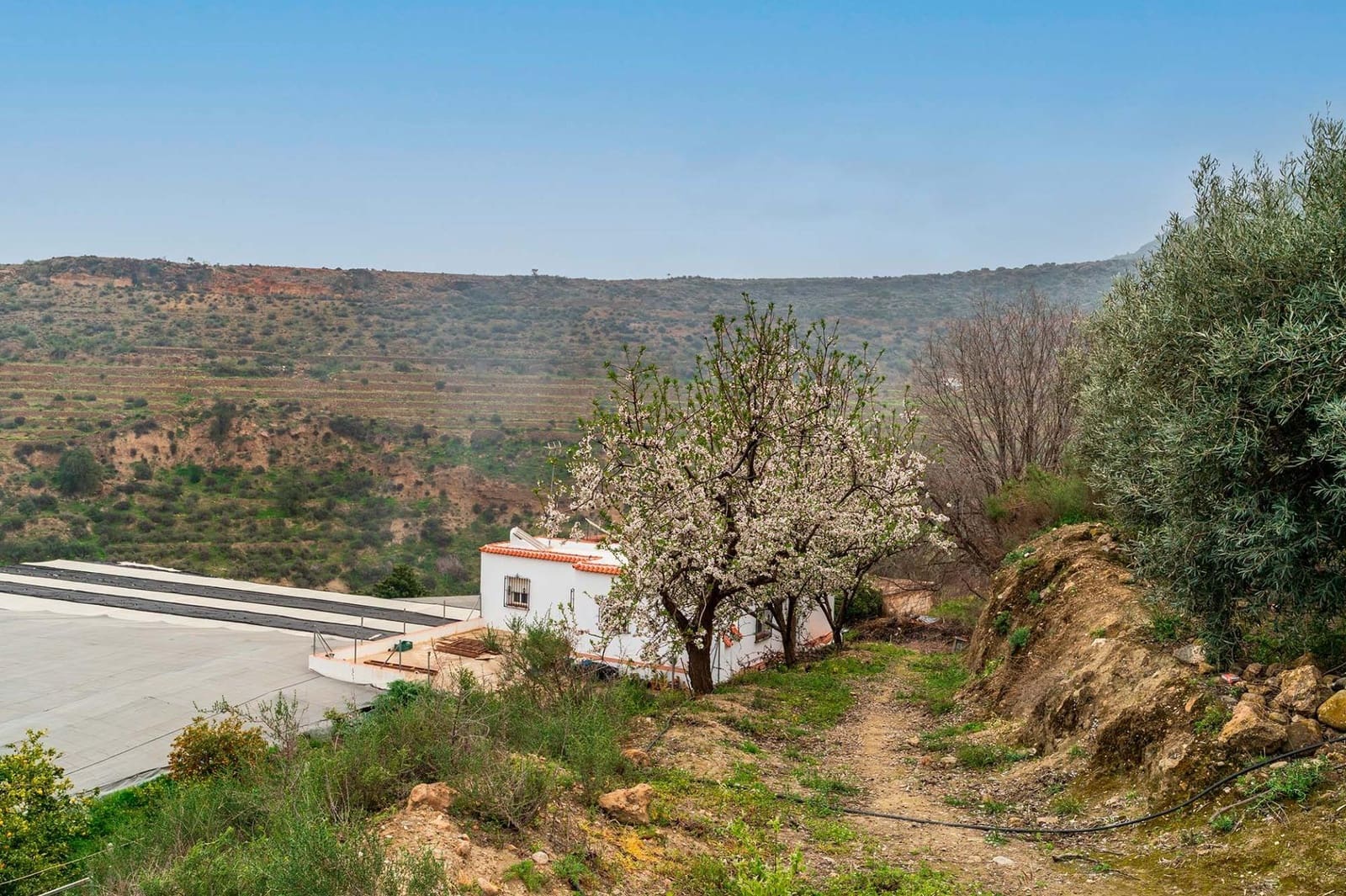 Mark till salu i Canjayar - 320 000 € (Ref: 9652190)