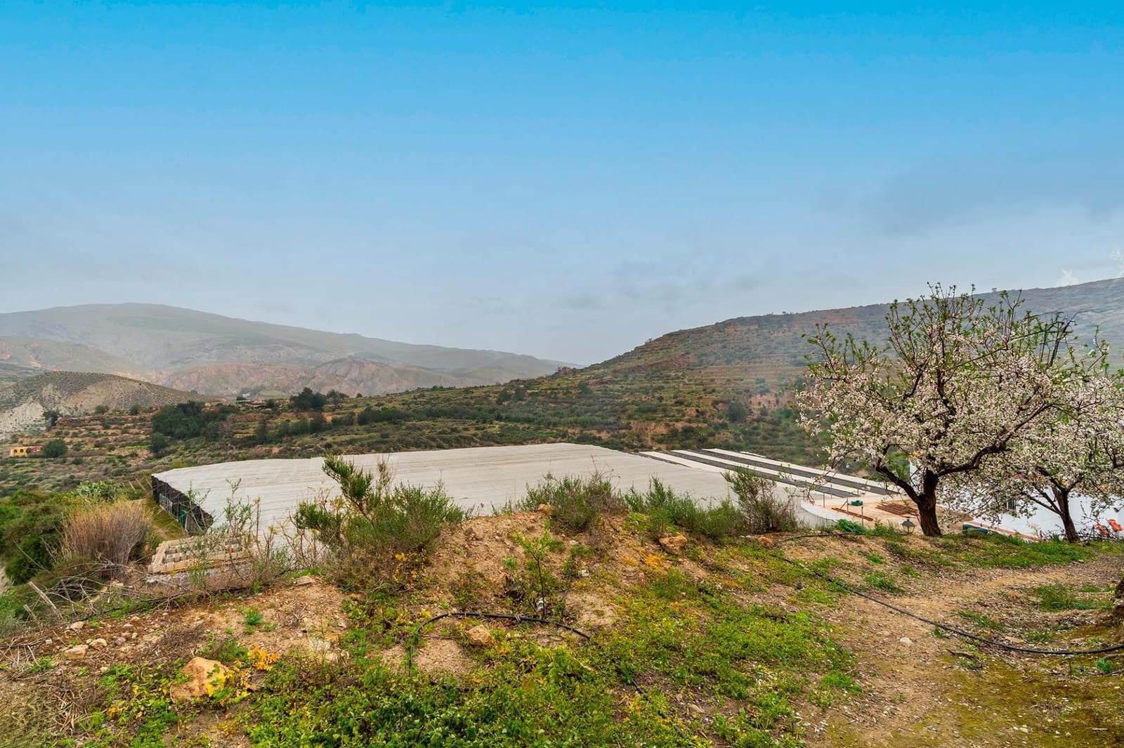 Mark till salu i Canjayar - 320 000 € (Ref: 9652190)