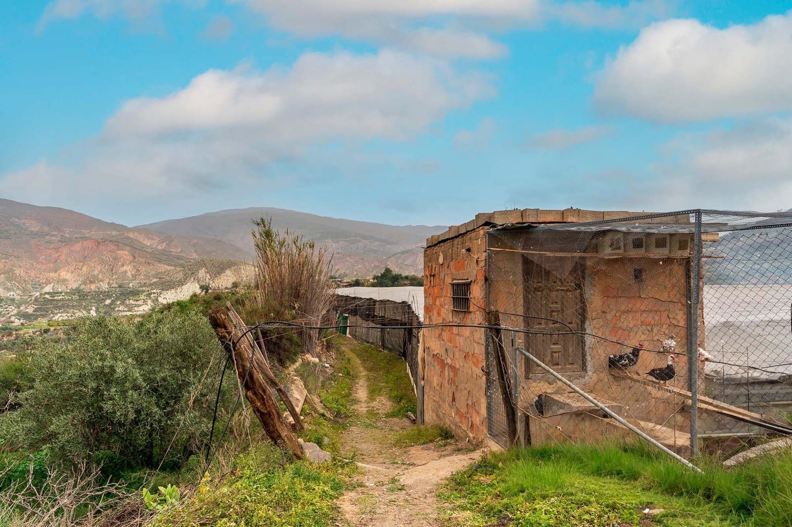 Mark till salu i Canjayar - 320 000 € (Ref: 9652190)