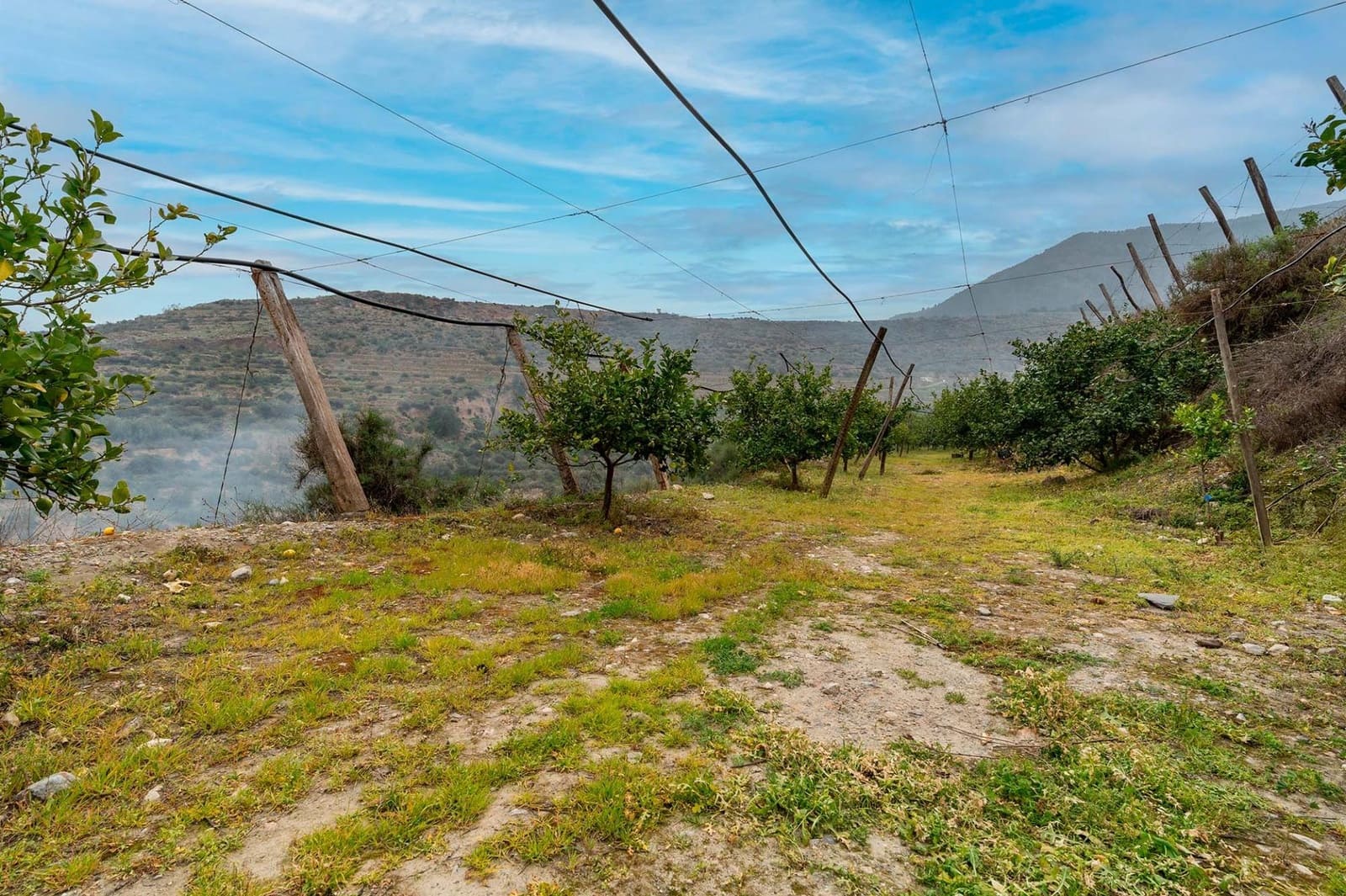 Mark till salu i Canjayar - 320 000 € (Ref: 9652190)