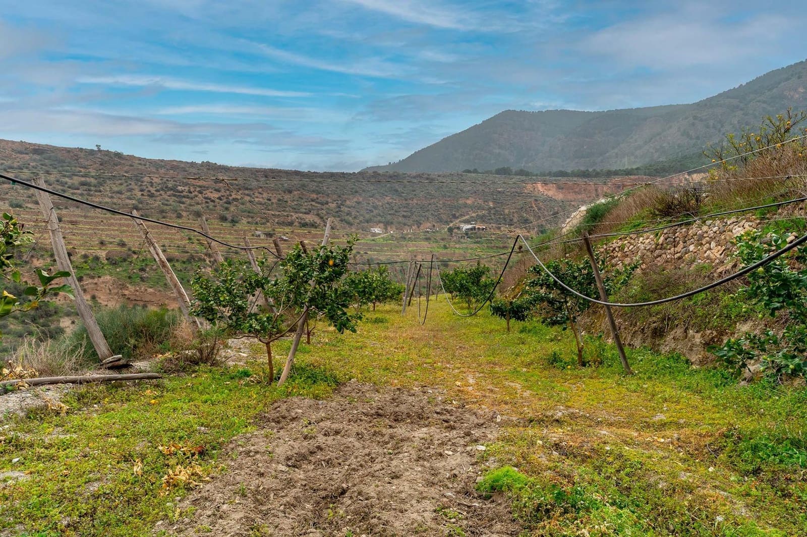 Mark till salu i Canjayar - 320 000 € (Ref: 9652190)