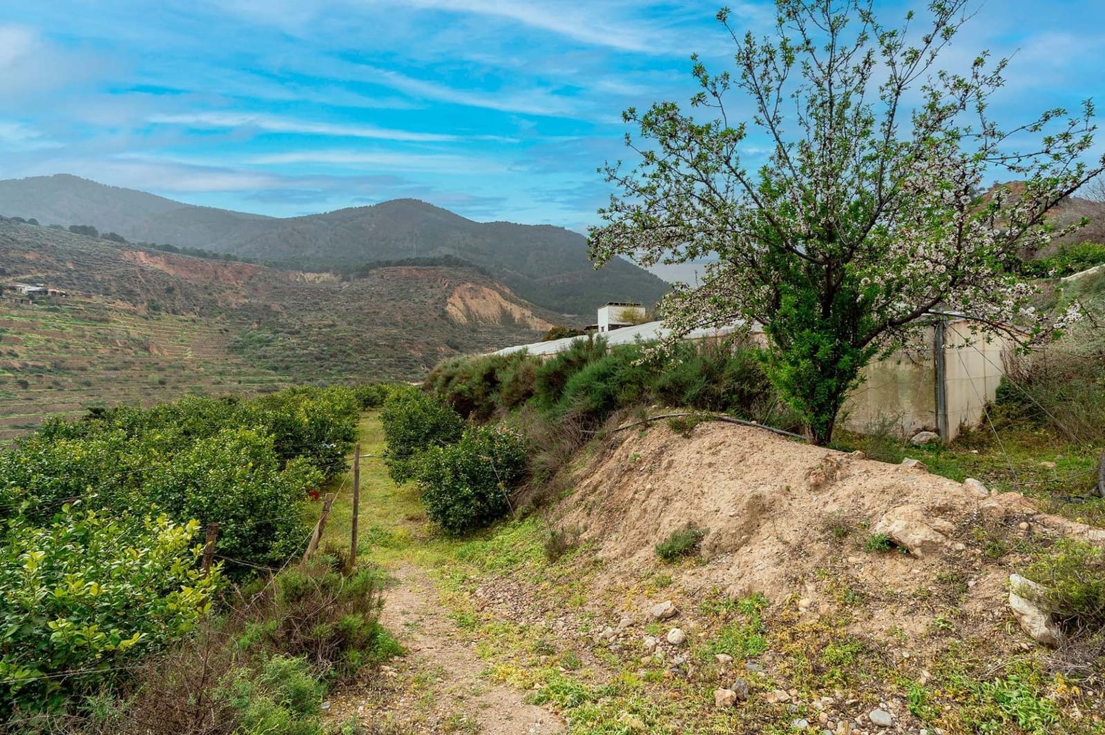 Mark till salu i Canjayar - 320 000 € (Ref: 9652190)