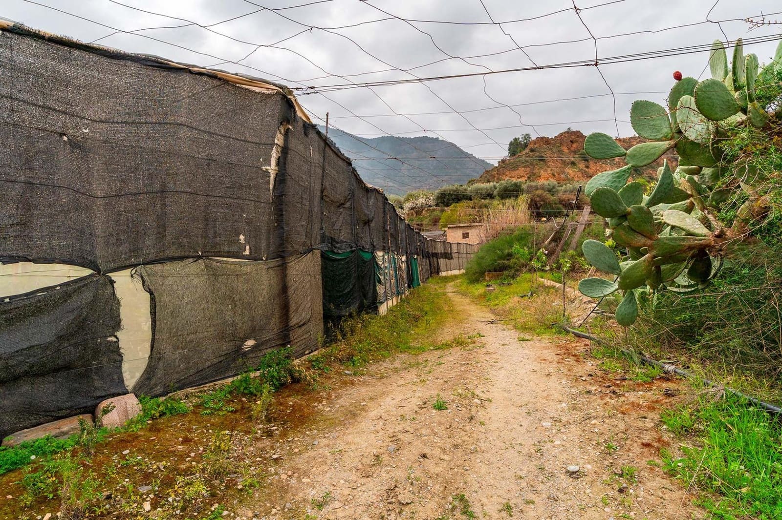 Mark till salu i Canjayar - 320 000 € (Ref: 9652190)