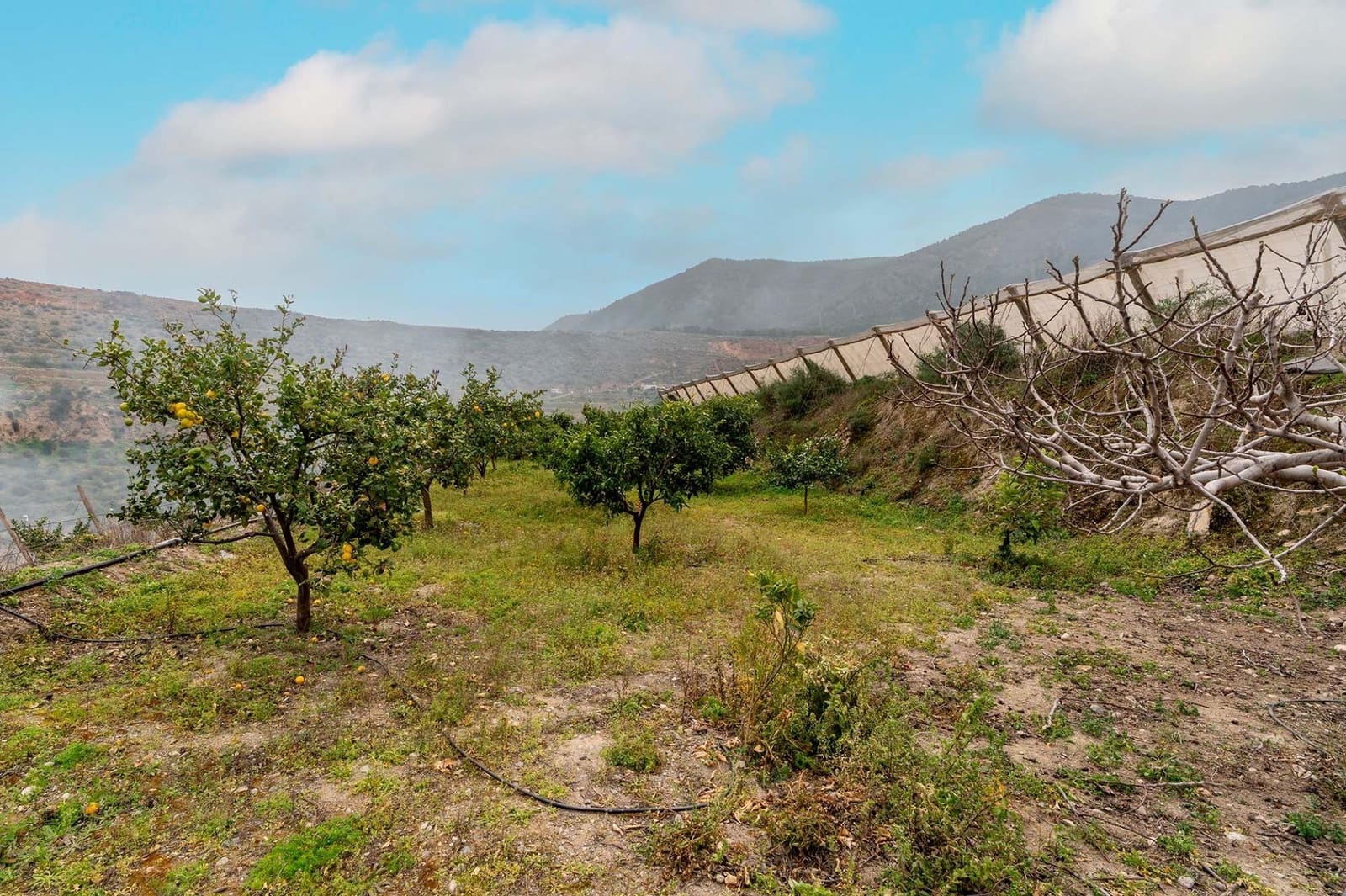 Mark till salu i Canjayar - 320 000 € (Ref: 9652190)