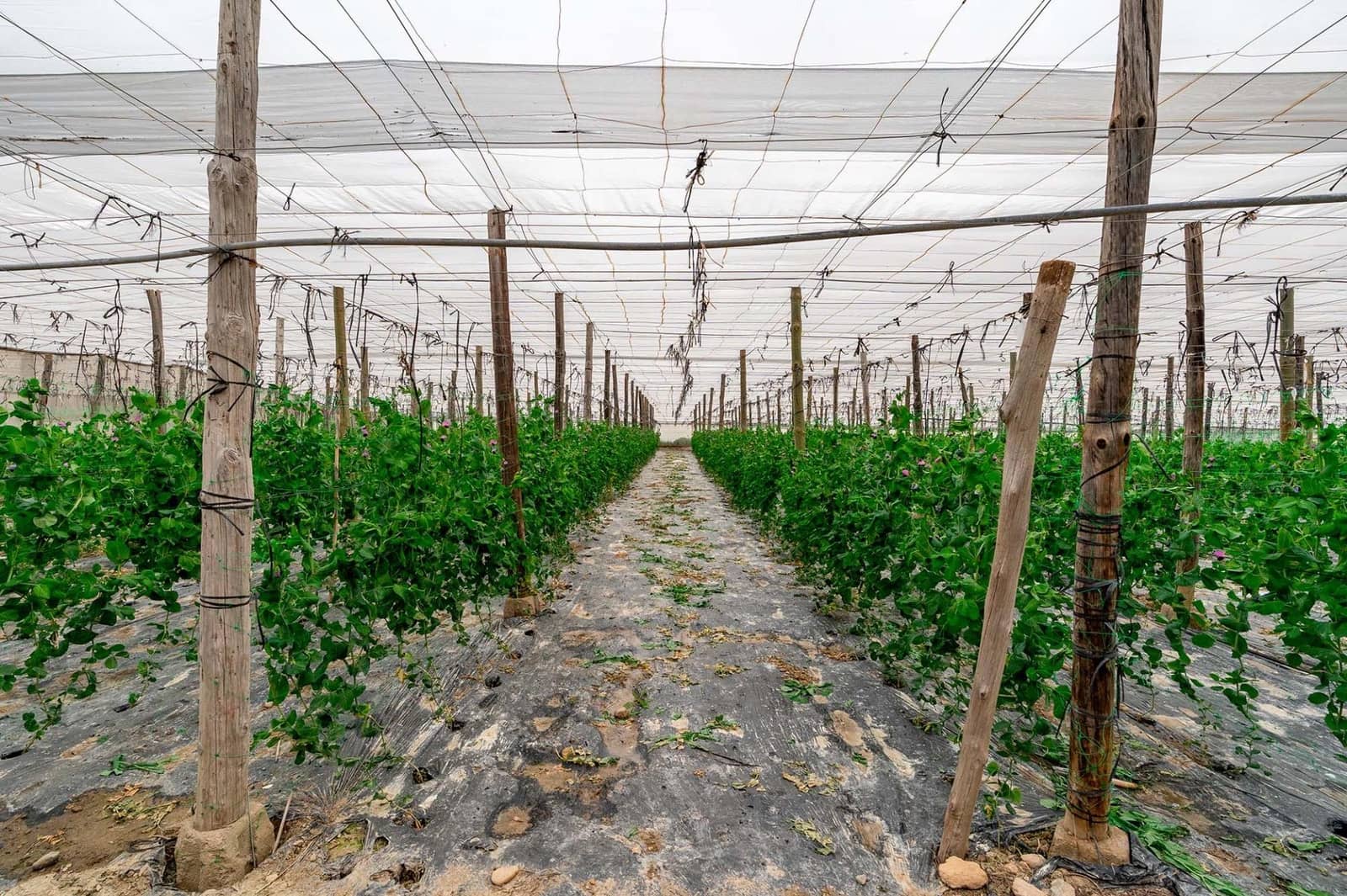 3 slaapkamer Villa te koop in Canjayar met garage - € 320.000 (Ref: 9659588)