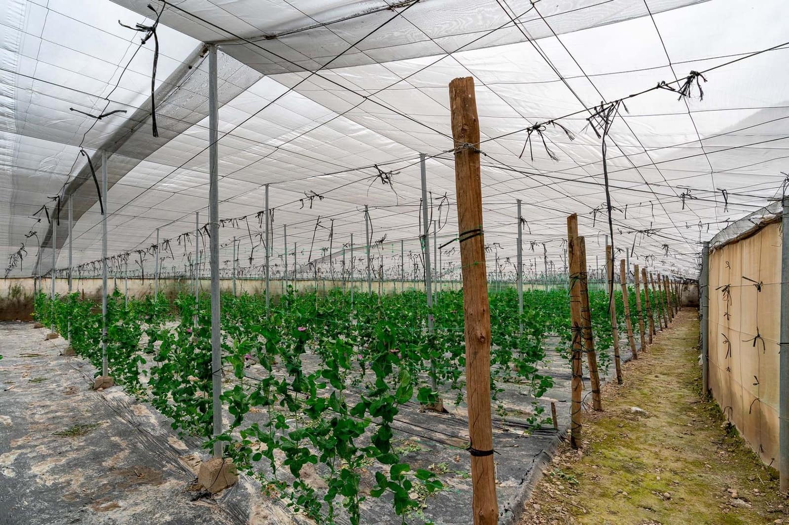 3 slaapkamer Villa te koop in Canjayar met garage - € 320.000 (Ref: 9659588)