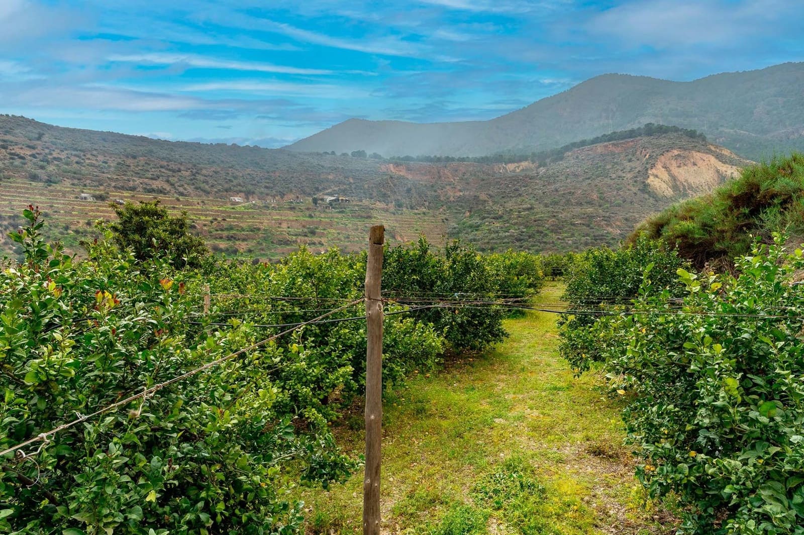 3 slaapkamer Villa te koop in Canjayar met garage - € 320.000 (Ref: 9659588)