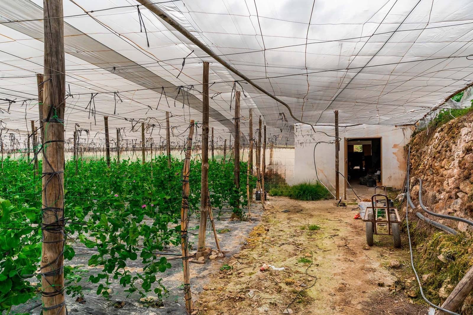 3 slaapkamer Villa te koop in Canjayar met garage - € 320.000 (Ref: 9659588)