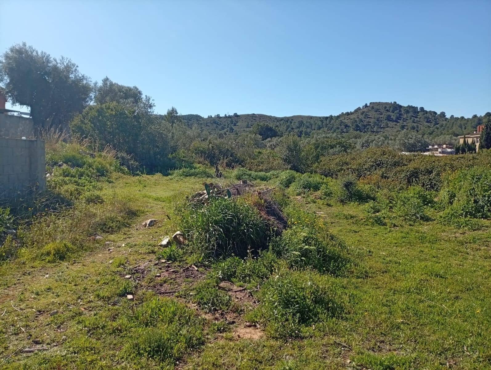 Bouwgrond te koop in Riba-roja de Turia - € 295.000 (Ref: 9686754)