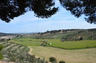 4 bedroom Finca/Country House for sale in Guadahortuna with pool garage - € 450,000 (Ref: 9696292)