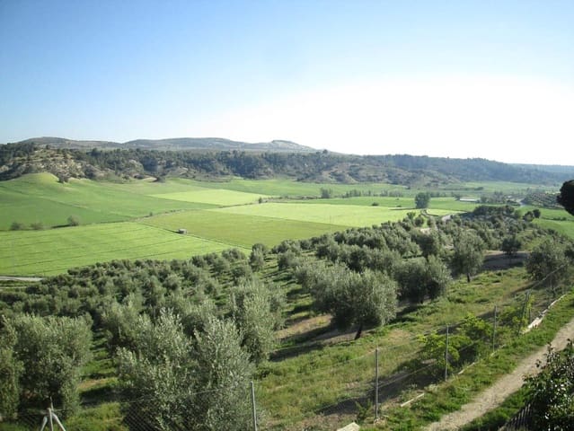 4 bedroom Finca/Country House for sale in Guadahortuna with pool garage - € 450,000 (Ref: 9696292)