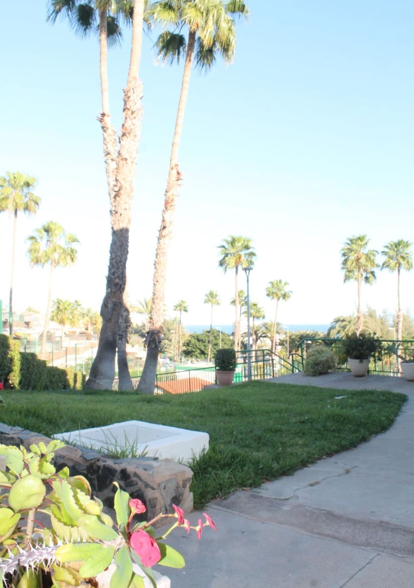 1 slaapkamer Flat te huur in San Bartolome de Tirajana met zwembad - € 1.000 (Ref: 9698942)