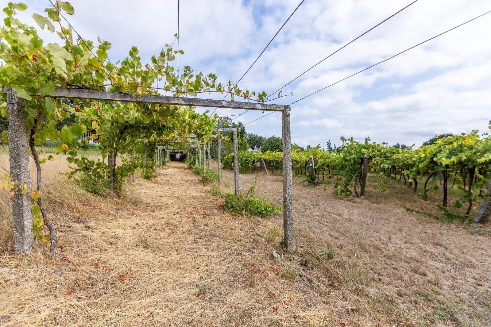 5 bedroom Villa for sale in Vedra with garage - € 1,000,000 (Ref: 9715103)