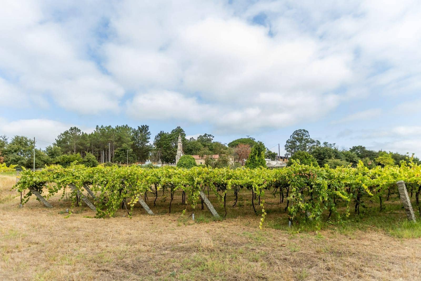 5 bedroom Villa for sale in Vedra with garage - € 1,000,000 (Ref: 9715103)