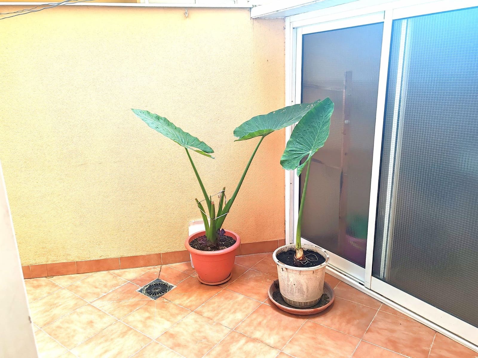 3 bedroom Flat for sale in Reus with garage - € 200,000 (Ref: 9720187)