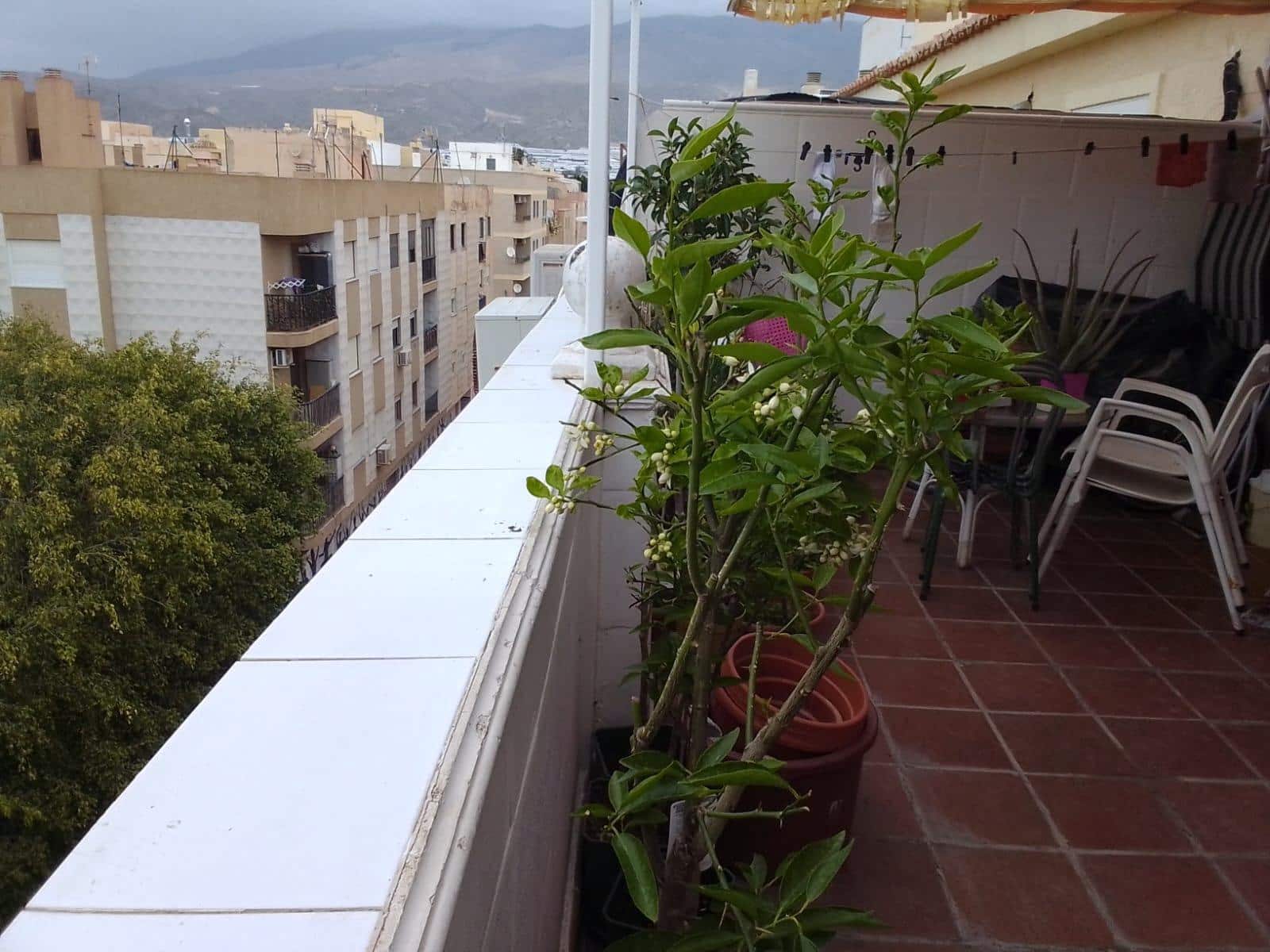 3 Zimmer Wohnung zu verkaufen in El Ejido - 155.000 € (Ref: 9735763)