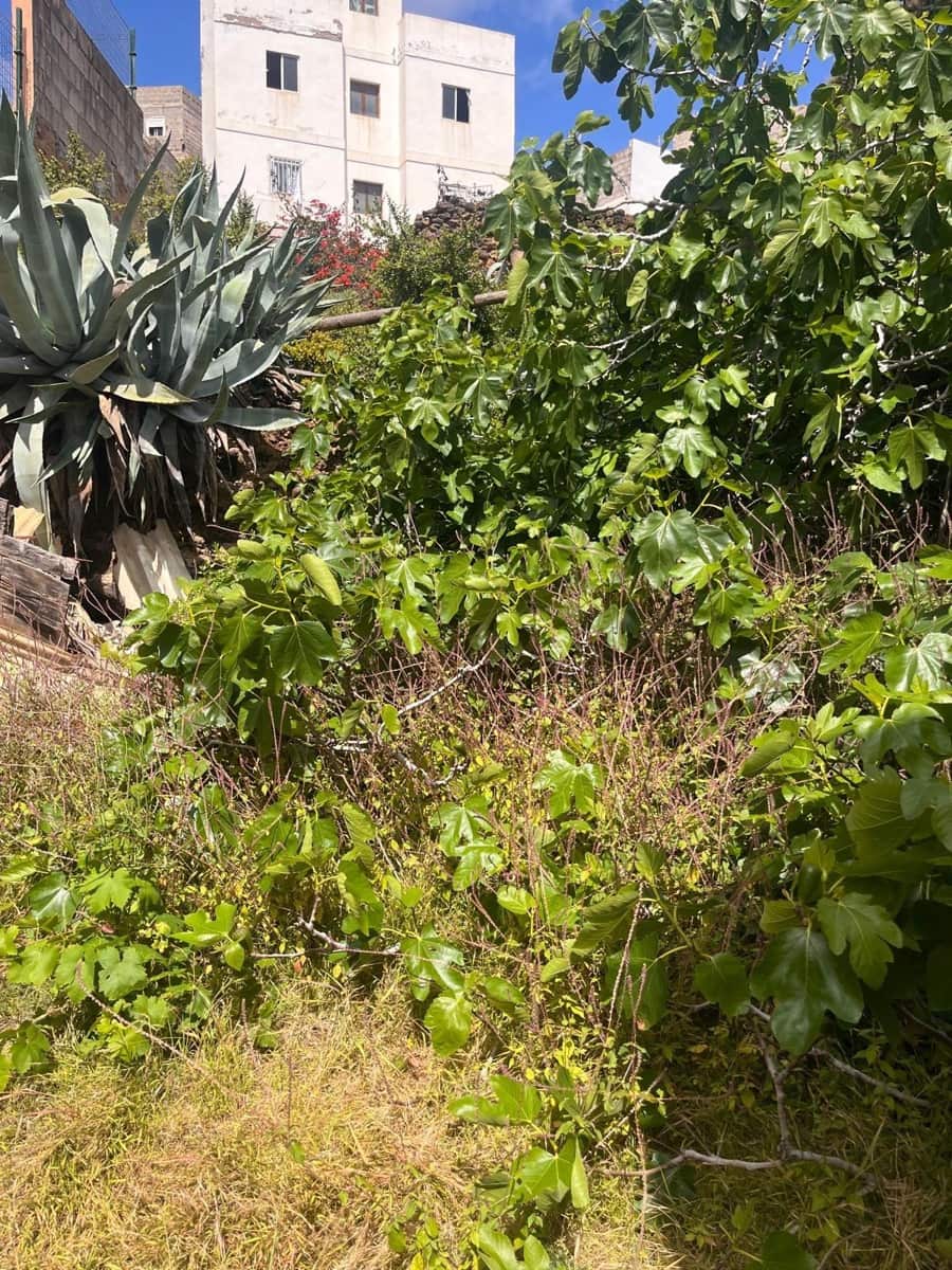 Bungalow de 2 habitaciones en Las Palmas de Gran Canaria en venta - 150.000 € (Ref: 9755900)