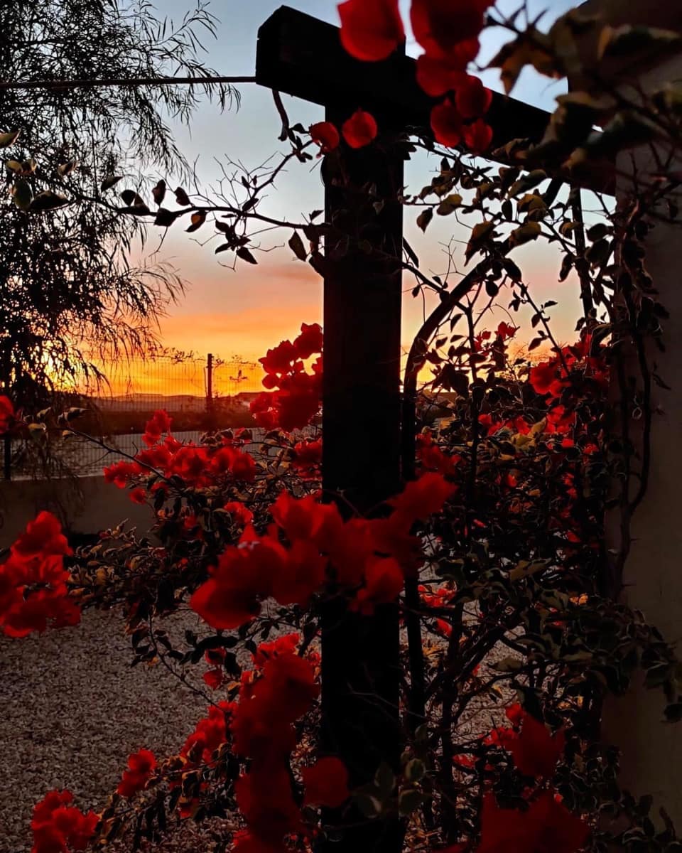 4 bedroom Finca/Country House for sale in Cuevas del Almanzora with pool garage - € 430,000 (Ref: 9762135)