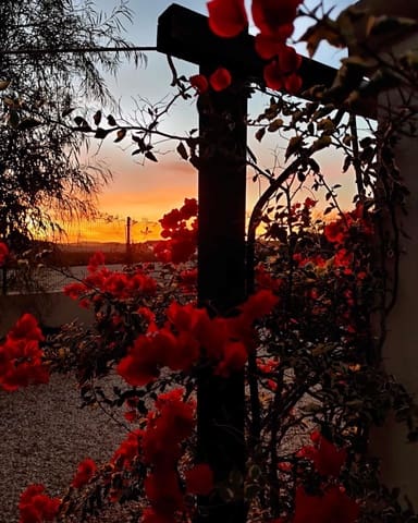 4 soverom Finca/Herregård til salgs i Cuevas del Almanzora med svømmebasseng garasje - € 430 000 (Ref: 9762135)