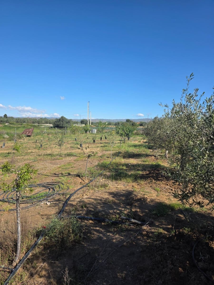 6 camera da letto Villa in vendita in Huercal-Overa con garage - 170.500 € (Rif: 9773272)