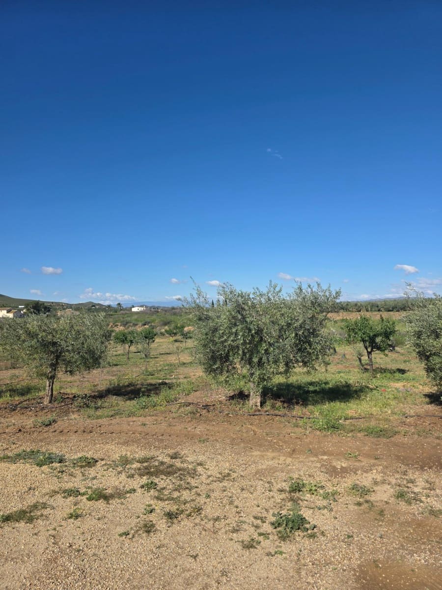 6 camera da letto Villa in vendita in Huercal-Overa con garage - 170.500 € (Rif: 9773272)