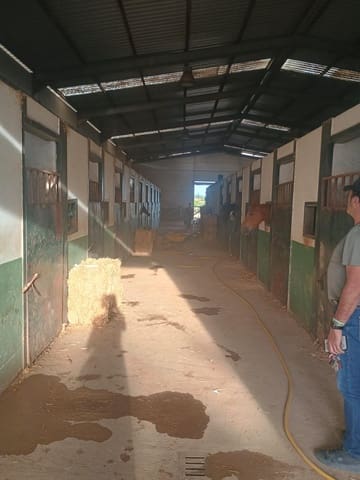 4 chambre Finca/Maison de Campagne à vendre à Villanueva de los Castillejos avec garage - 515 000 € (Ref: 9794865)