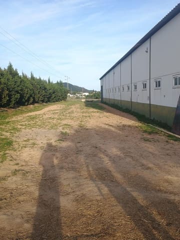 4 chambre Finca/Maison de Campagne à vendre à Villanueva de los Castillejos avec garage - 515 000 € (Ref: 9794865)