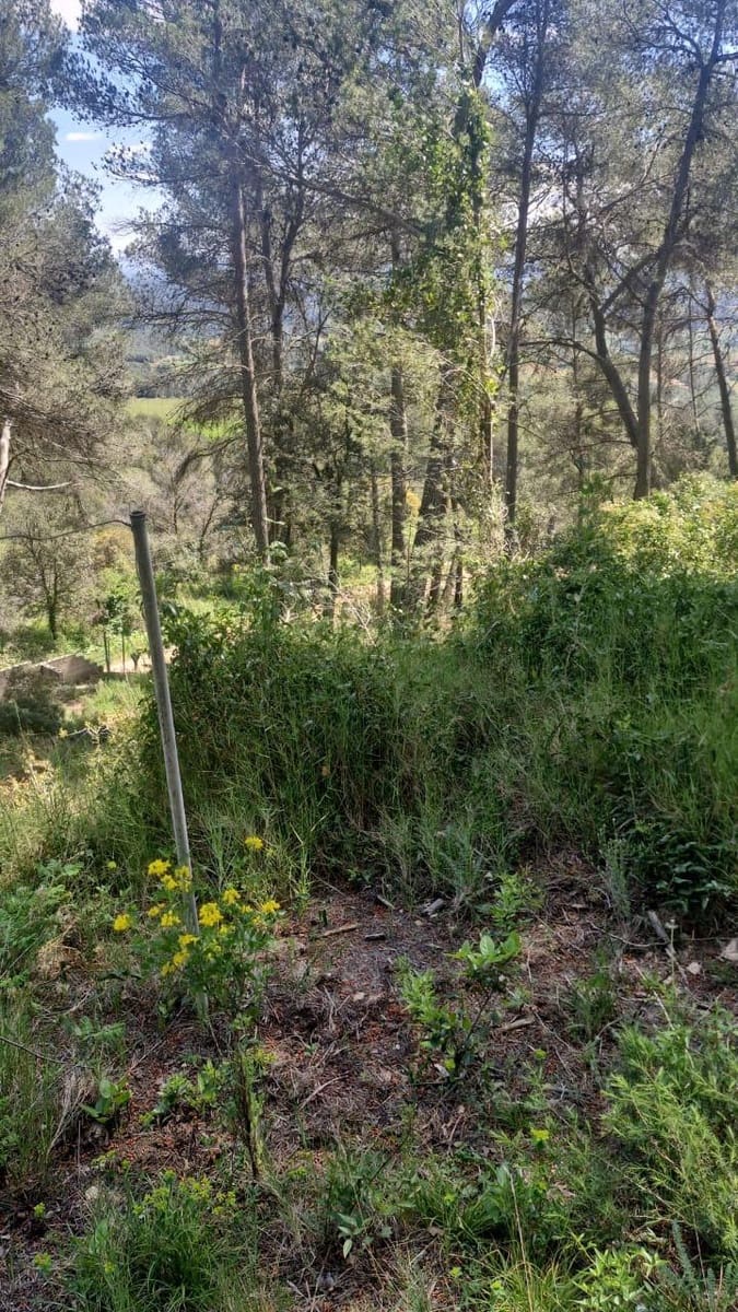 Działka budowlana na sprzedaż w Mediona - 78 000 € (Ref: 9797306)