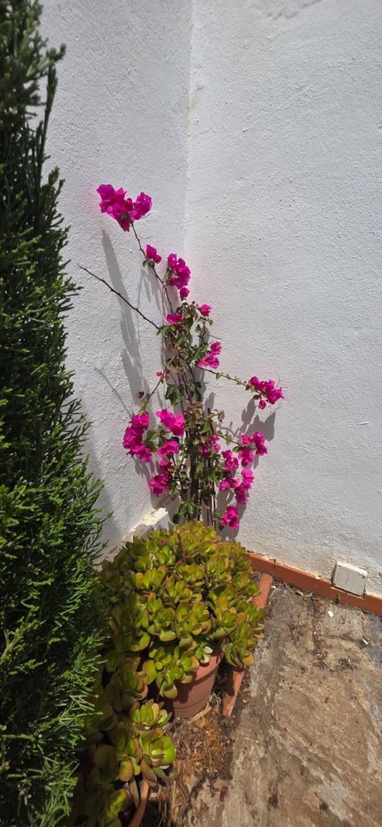 2 camera da letto Villetta a Schiera in vendita in Mojacar con piscina - 228.000 € (Rif: 9806635)