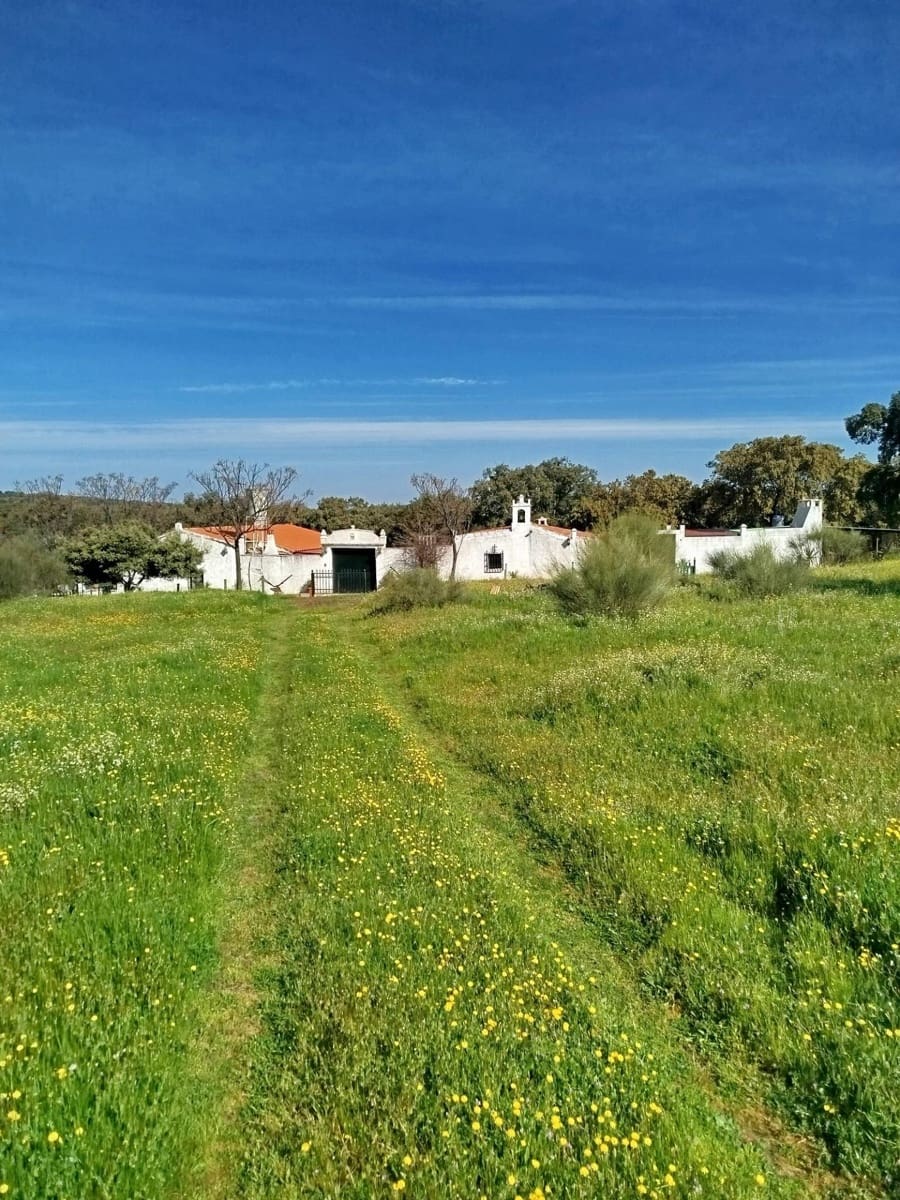 3 bedroom Finca/Country House for sale in Hornachos with garage - € 100,000 (Ref: 9808165)